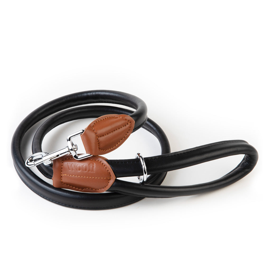 Colours can influence mood - what does your dog’s collar say?