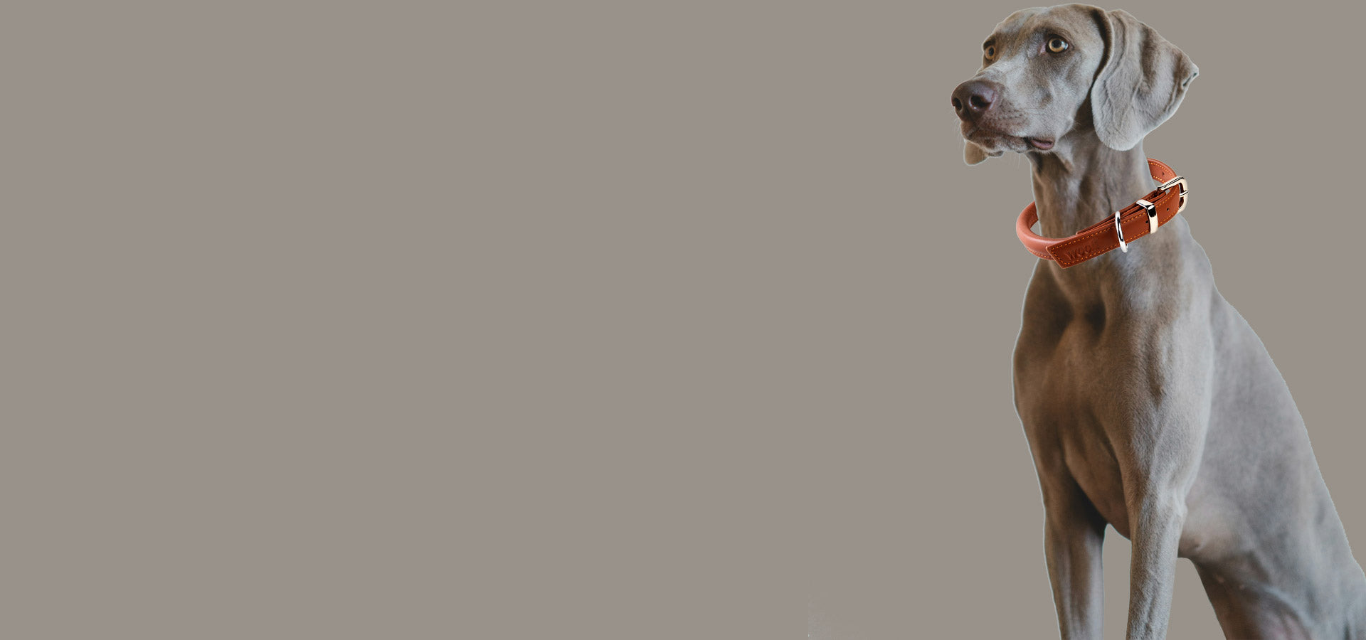 slider image slider_item_Nj9YbB