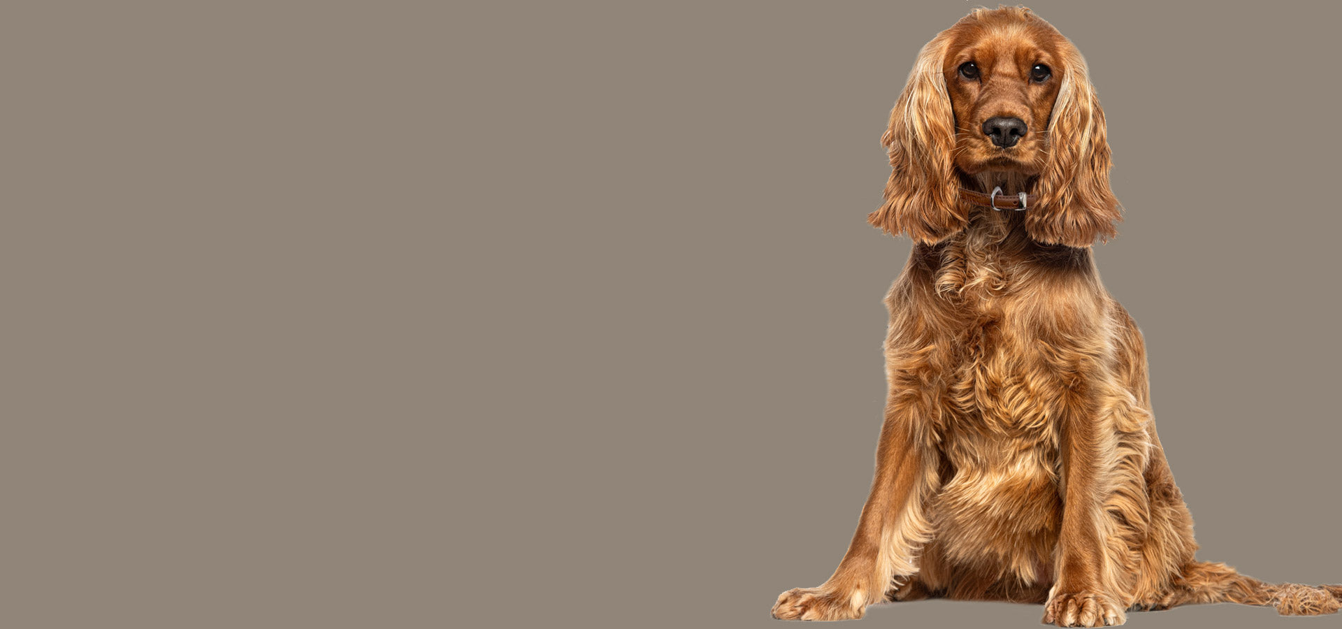slider image slider_item_hMMEUG