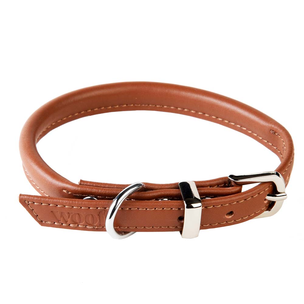 Dog Collar Hairy Styles