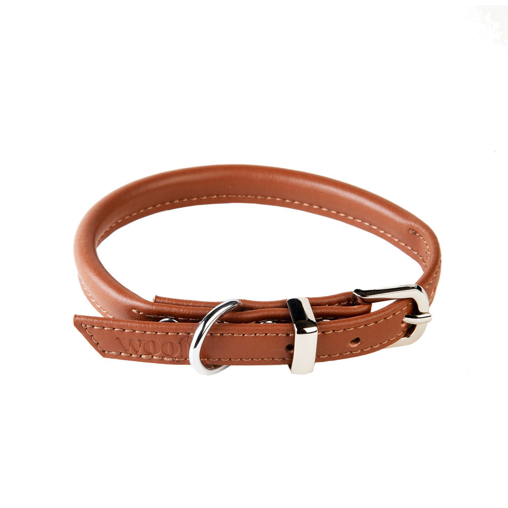 Dog Collar Hairy Styles